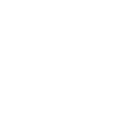 Bridge Appliances